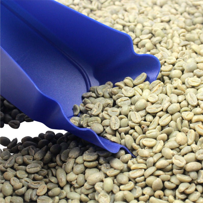 Coffee Bean Tray - Ecru BeansAccessoriesEcru Beans coffee_in_qatar - qatar_coffee coffee_equipment_qatar_doha