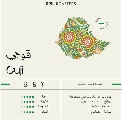 Soil Ethipoia Guji - 250g - Ecru BeansEcru Beans coffee_in_qatar - qatar_coffee coffee_equipment_qatar_doha