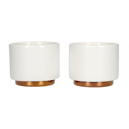 Fellow Monty Milk Art (3oz Matte White) Espresso set of 2 - Ecru BeanscupEcru Beans coffee_in_qatar - qatar_coffee coffee_equipment_qatar_doha