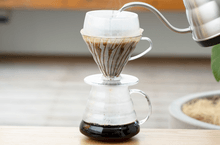 HARIO | V60 DRIP ASSIST - Ecru Beanspour overEcru Beans coffee_in_qatar - qatar_coffee coffee_equipment_qatar_doha