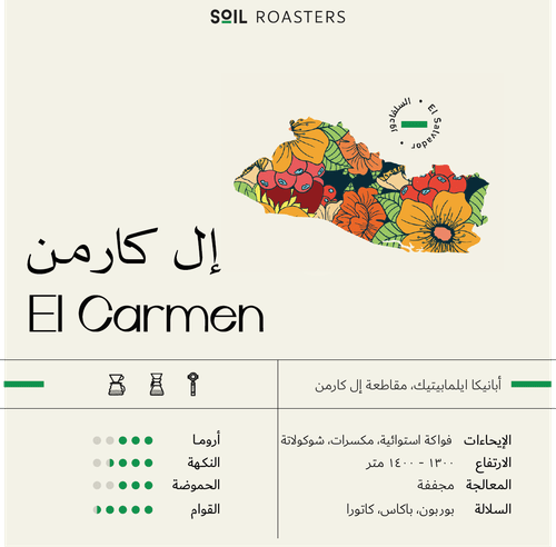 Soil El Carman Salvador - 250g - Ecru BeansEcru Beans coffee_in_qatar - qatar_coffee coffee_equipment_qatar_doha