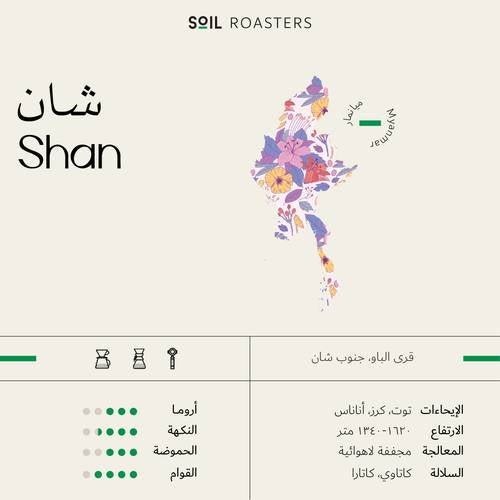 Soil Myanmar Shan - 250g - Ecru BeansEcru Beans coffee_in_qatar - qatar_coffee coffee_equipment_qatar_doha